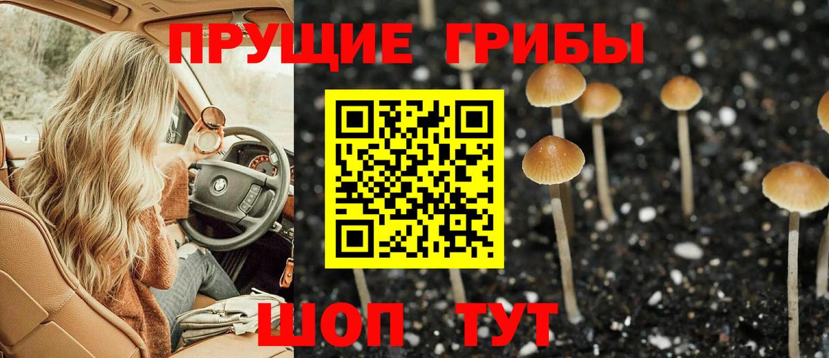 Галлюциногенные грибы ЛСД  Вход с VPN  Полысаево 